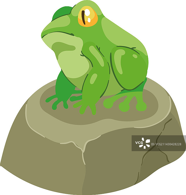 石头上的绿青蛙图片素材