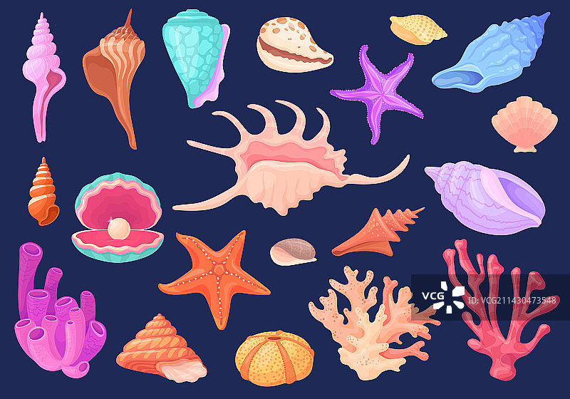 海底海螺卡通贝类扇贝图片素材