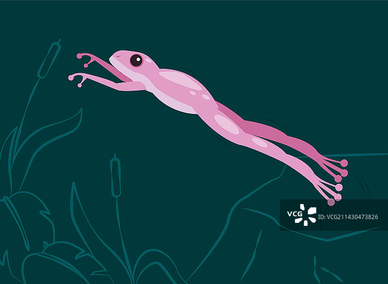 丁香色跳跃青蛙图片素材