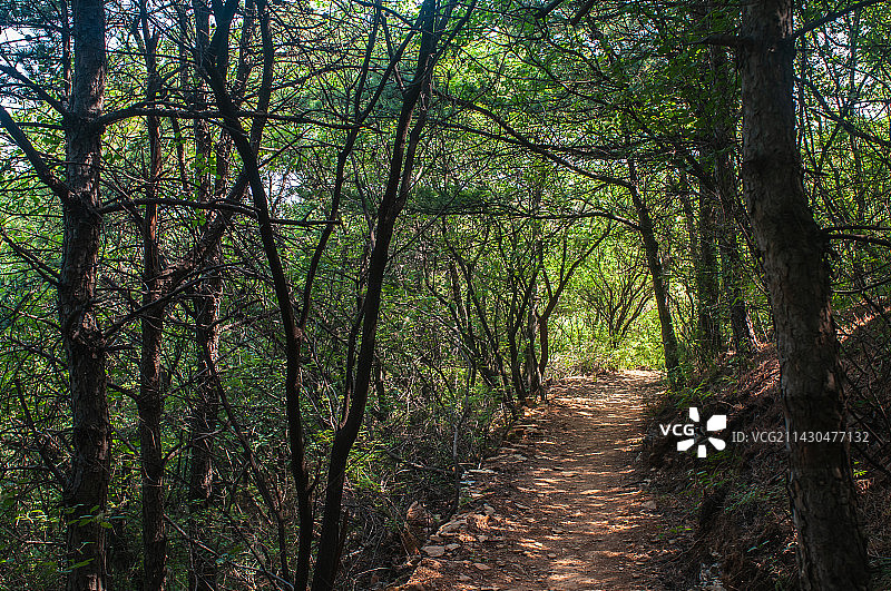 河北石家庄佛光山图片素材