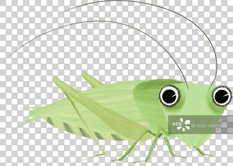 蟋蟀昆虫元素图片素材