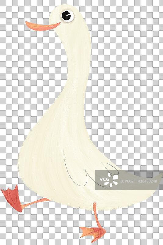 鸭子元素图片素材