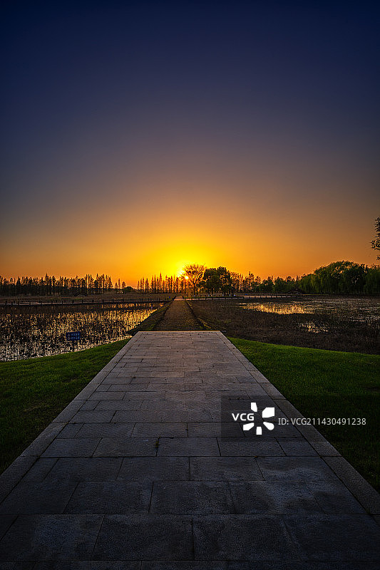 郁金香花开的季节+固城湖水慢城+南京高淳图片素材