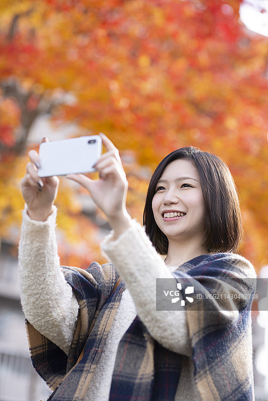用智能手机拍摄秋叶的女人图片素材