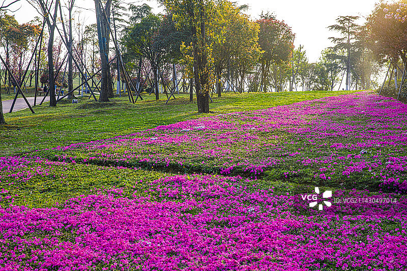 中国贵州贵阳市贵安新区月亮湖公园春天湖岸花园风光图片素材