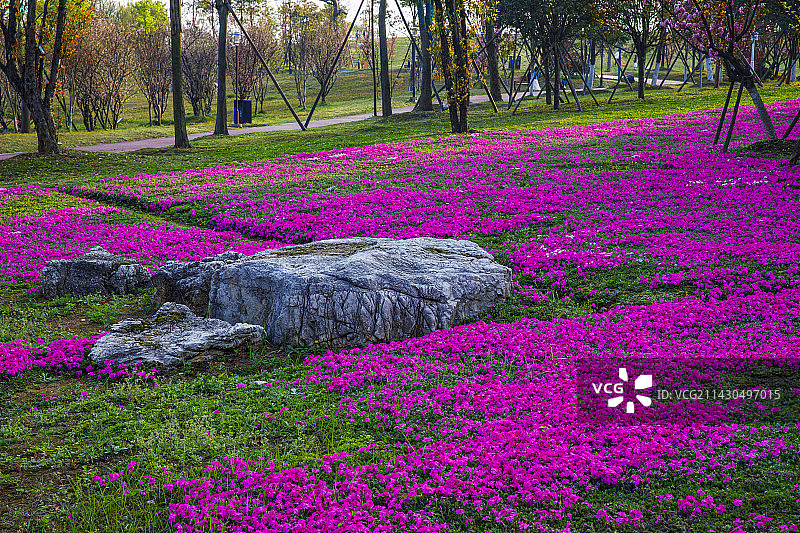中国贵州贵阳市贵安新区月亮湖公园春天湖岸花园风光图片素材
