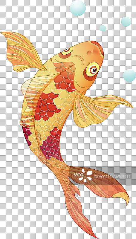 鲤鱼锦鲤中国风免抠元素插画图片素材