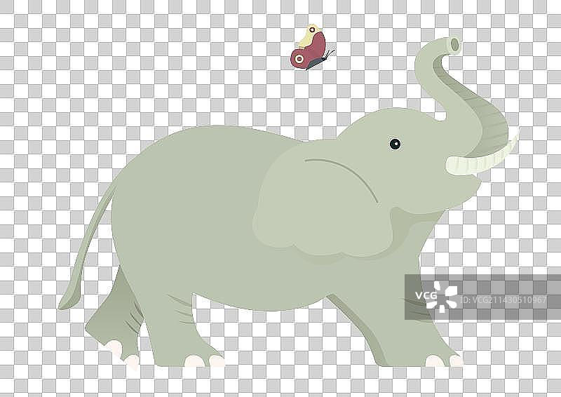 大象和蝴蝶图片素材