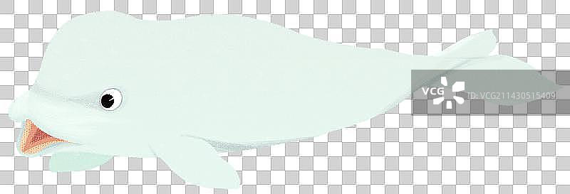 白鲸动物元素图片素材