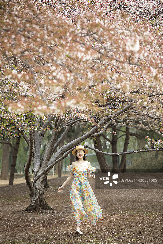 站在樱花树旁的女人，北京春天公园里美丽的年轻女子在户外图片素材