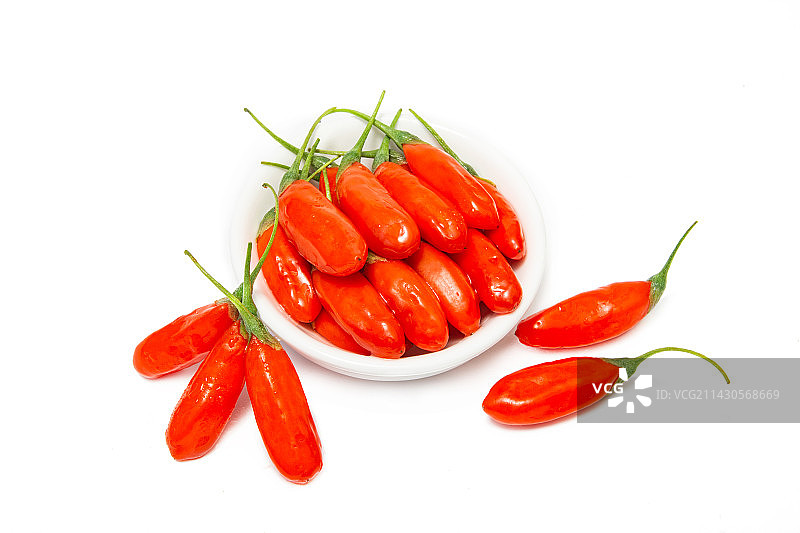 新鲜枸杞 红枸杞鲜果 枸杞子 宁夏鲜枸杞 棚拍新鲜红枸杞图片素材