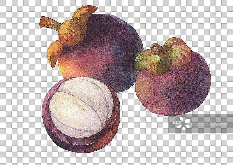 山竹元素图片素材