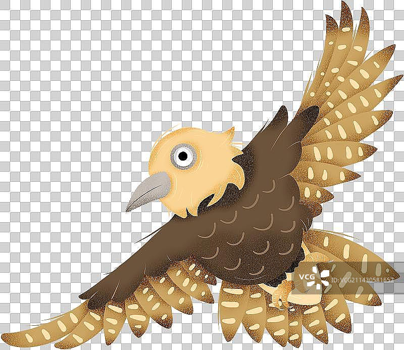 猎隼免抠单体图片素材