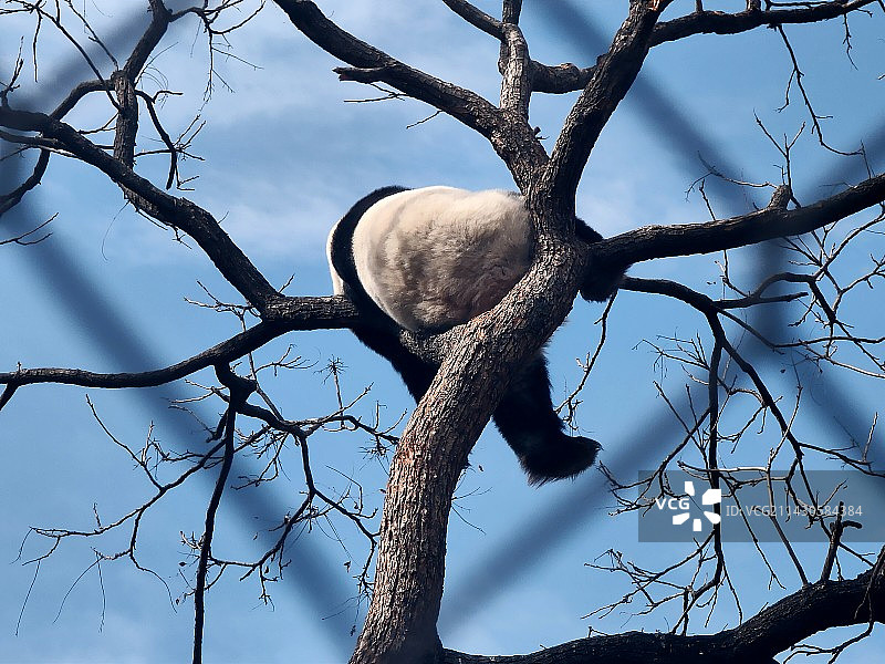 北京动物园图片素材