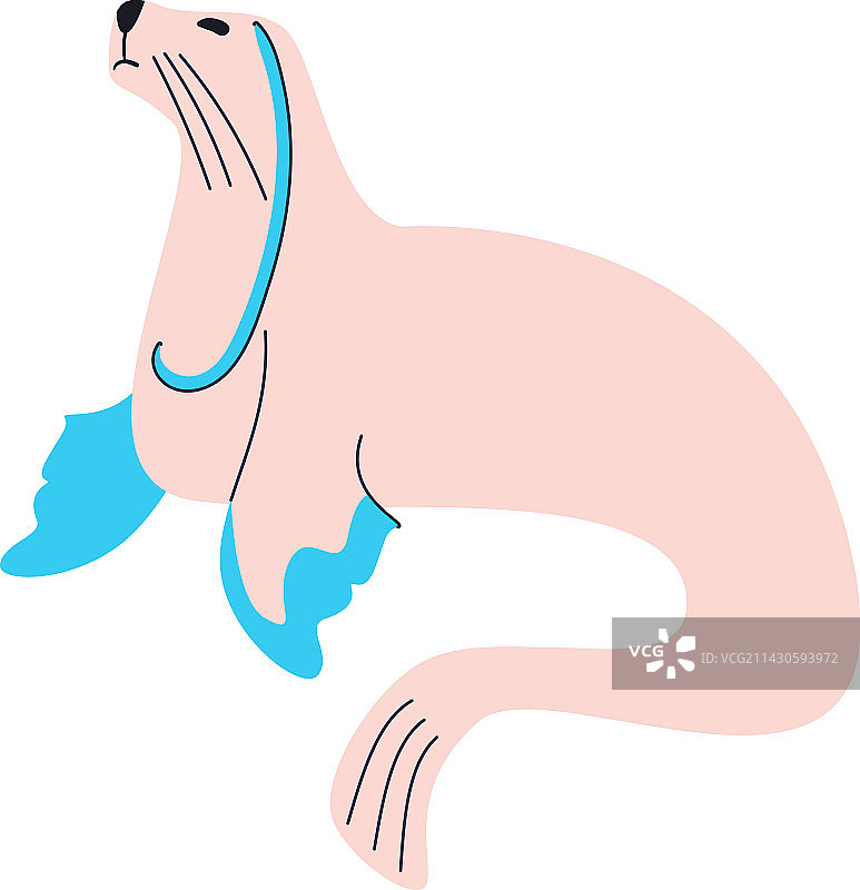 扁平风格海狮图片素材