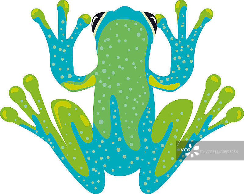 扁平青蛙图片素材