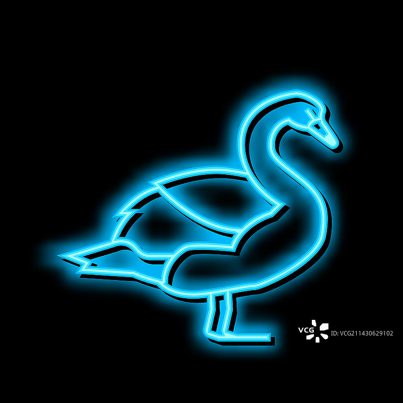 野生天鹅霓虹灯图标图片素材