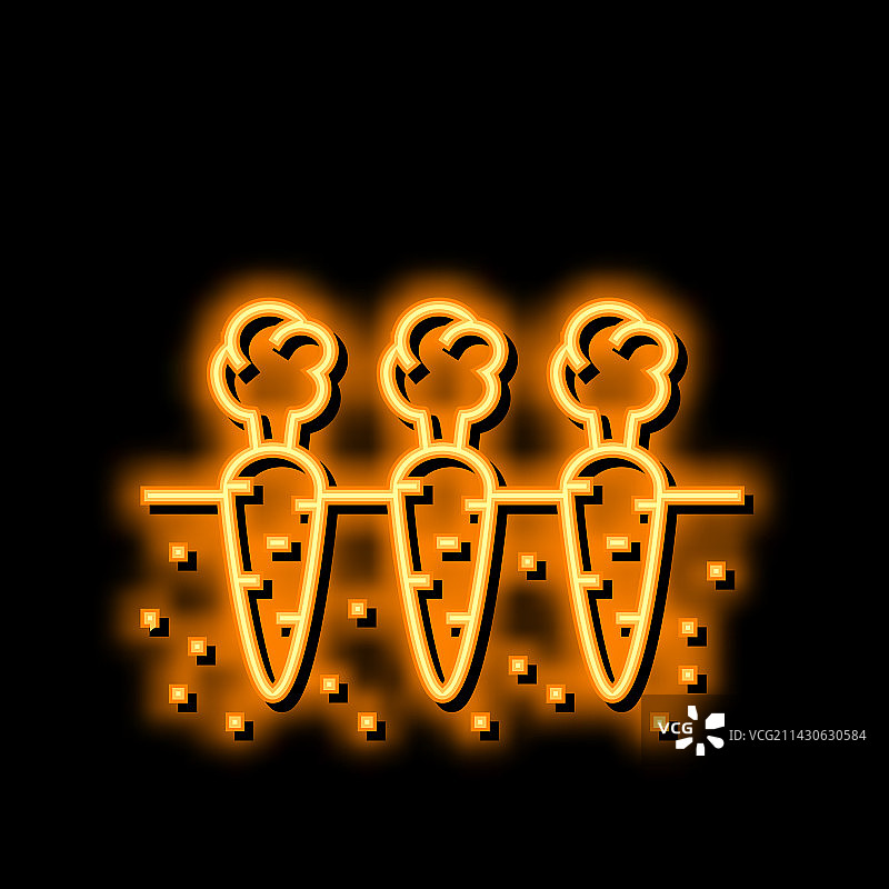 花园里生长的胡萝卜霓虹灯图标图片素材