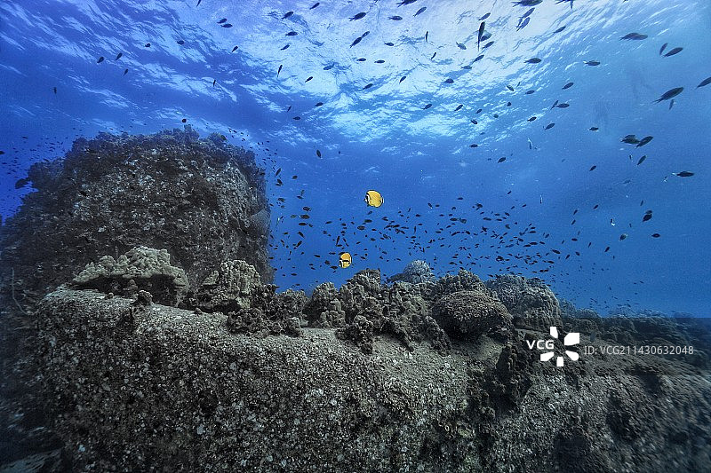 海洋深处图片素材
