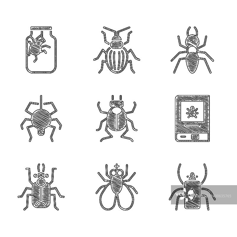 甲虫昆虫苍蝇昆虫书籍组合图片素材