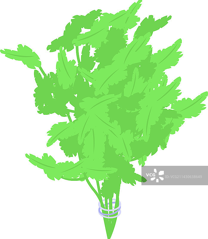 生态欧芹图标2.5D自然食品图片素材