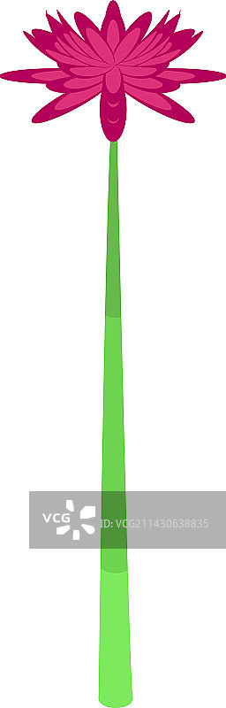 2.5D风格的韭菜花图标图片素材