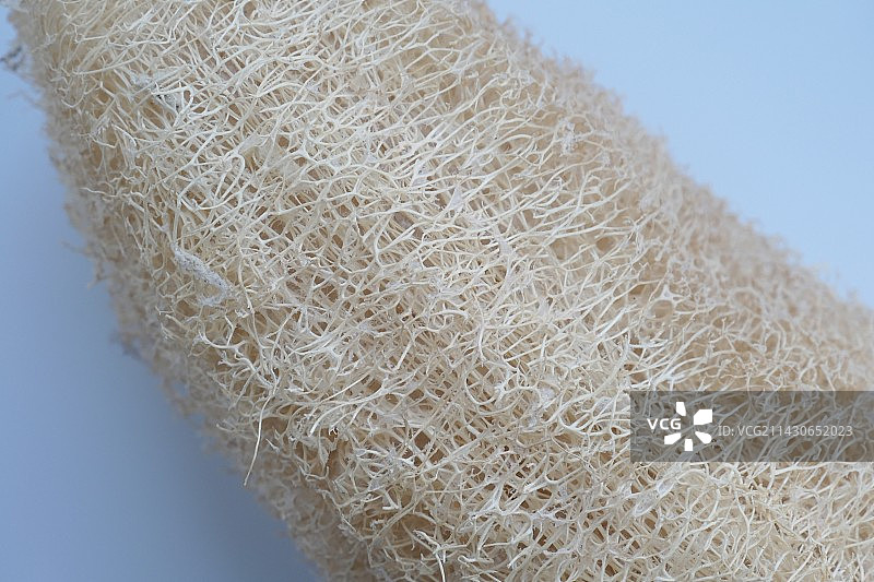 丝瓜干图片素材