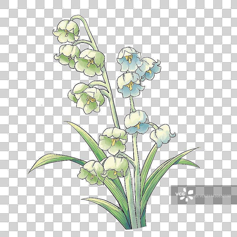 铃兰花卉免扣素材图片素材