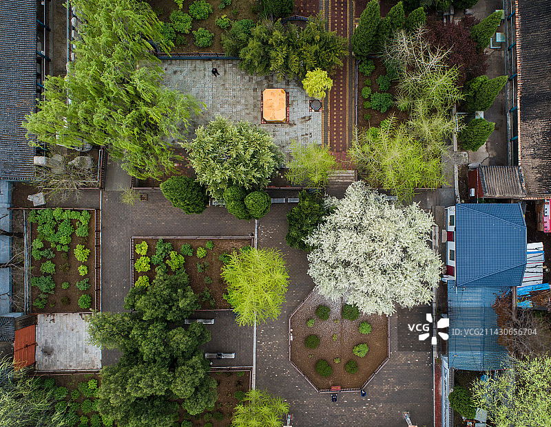 柏乡汉牡丹园图片素材