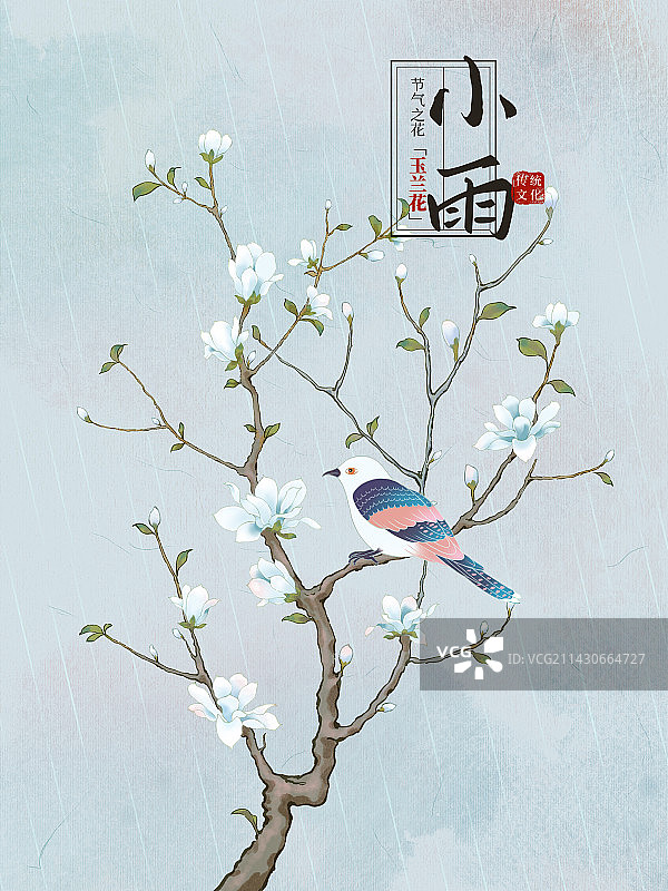 国风手绘二十四节气花卉植物之雨水玉兰花图片素材