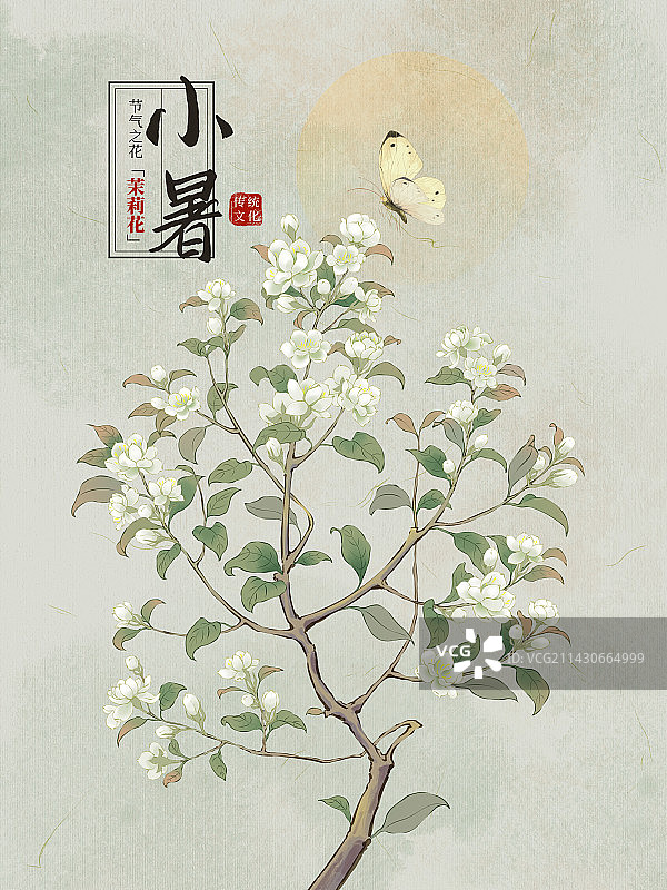 国风手绘二十四节气花卉植物之小暑茉莉花图片素材