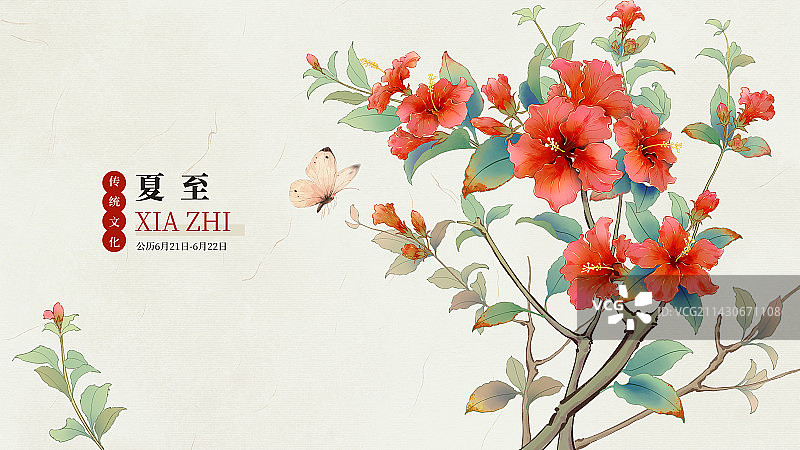 国风手绘二十四节气花卉植物海报之夏至木槿花图片素材