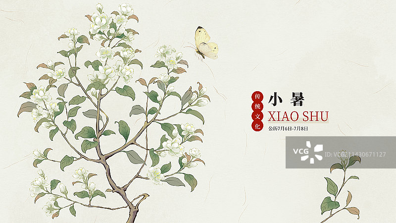 国风手绘二十四节气花卉植物海报之小暑茉莉花图片素材