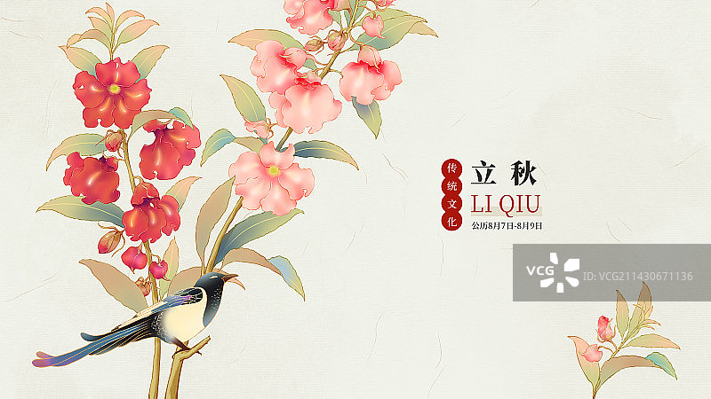 国风手绘二十四节气花卉植物海报之立秋凤仙花图片素材