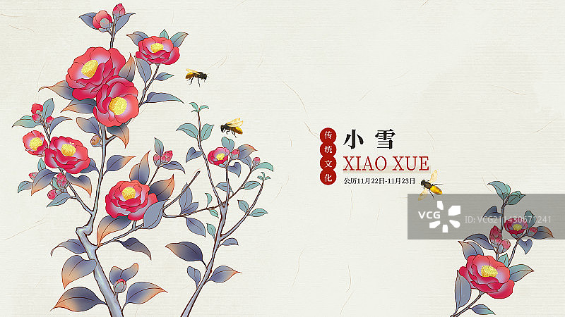 国风手绘二十四节气花卉植物海报之小雪茶花图片素材