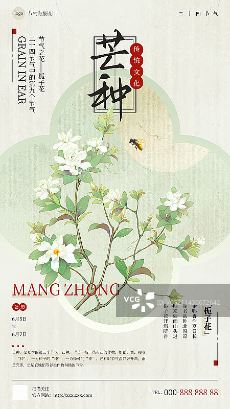 国风手绘二十四节气花卉植物海报之芒种栀子花图片素材