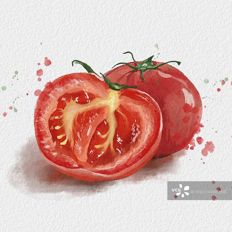美味西红柿番茄图片素材