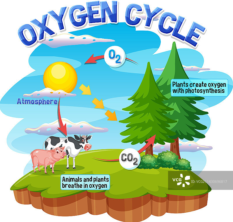 科学教育氧气循环图图片素材