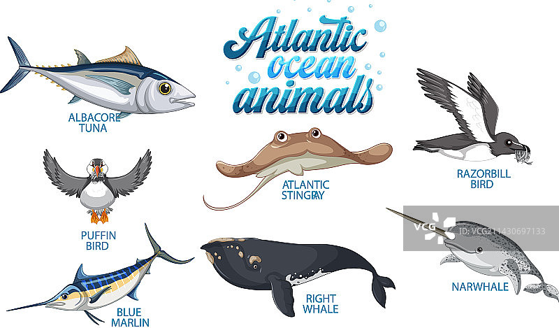大西洋动物合集图片素材