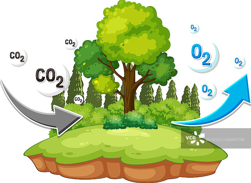 科学教育氧气循环图图片素材