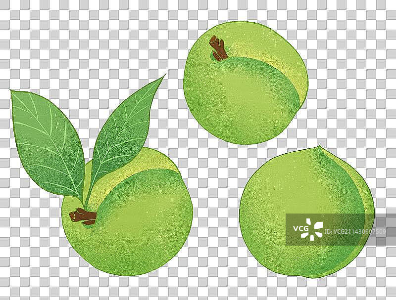 二十四节气水果美食青梅元素图片素材