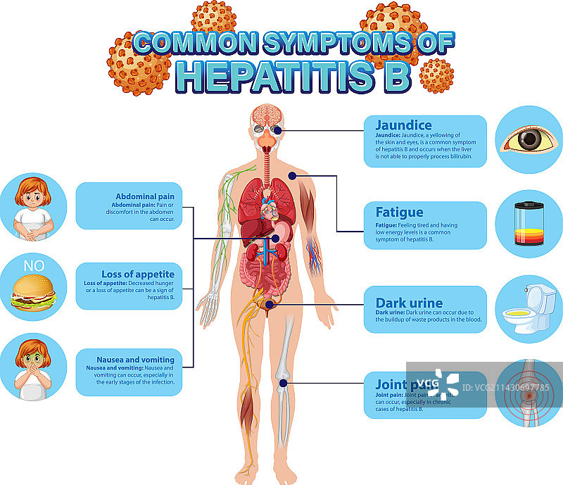 乙型肝炎常见症状宣传海报图片素材