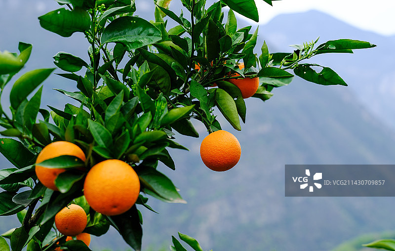 湖北宜昌长阳清江伦晚图片素材