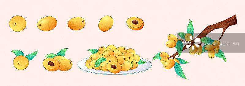 节气小满枇杷水果食物插画图片素材