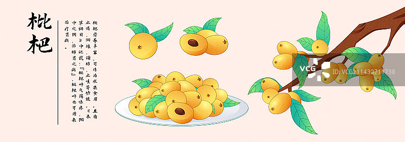 国风节气小满枇杷水果食物插画海报图片素材