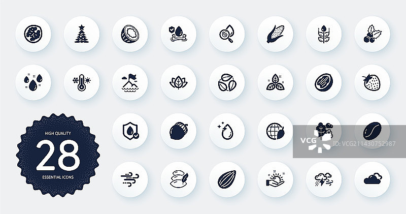 一组自然图标：山核桃杏仁图片素材