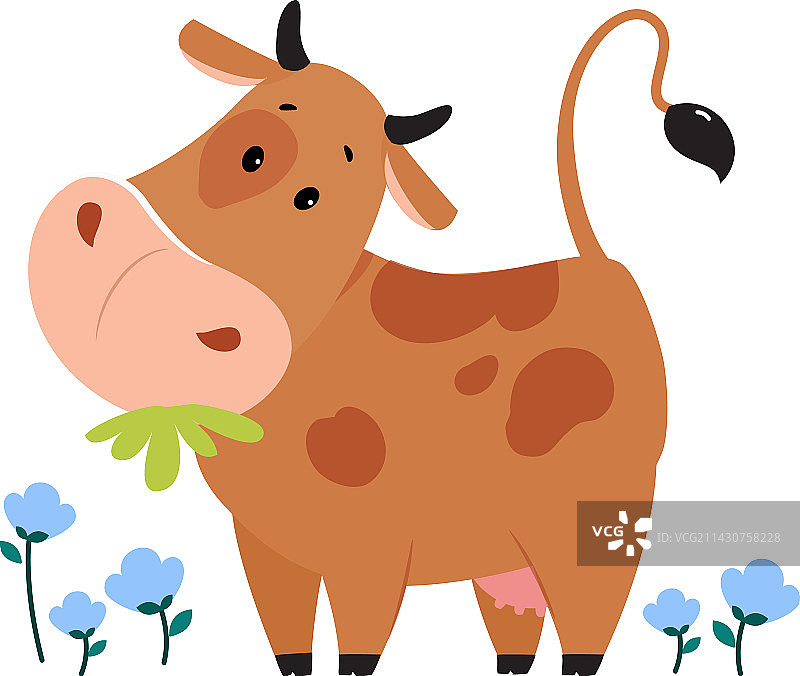 可爱快乐的棕色奶牛在草地上吃草图片素材