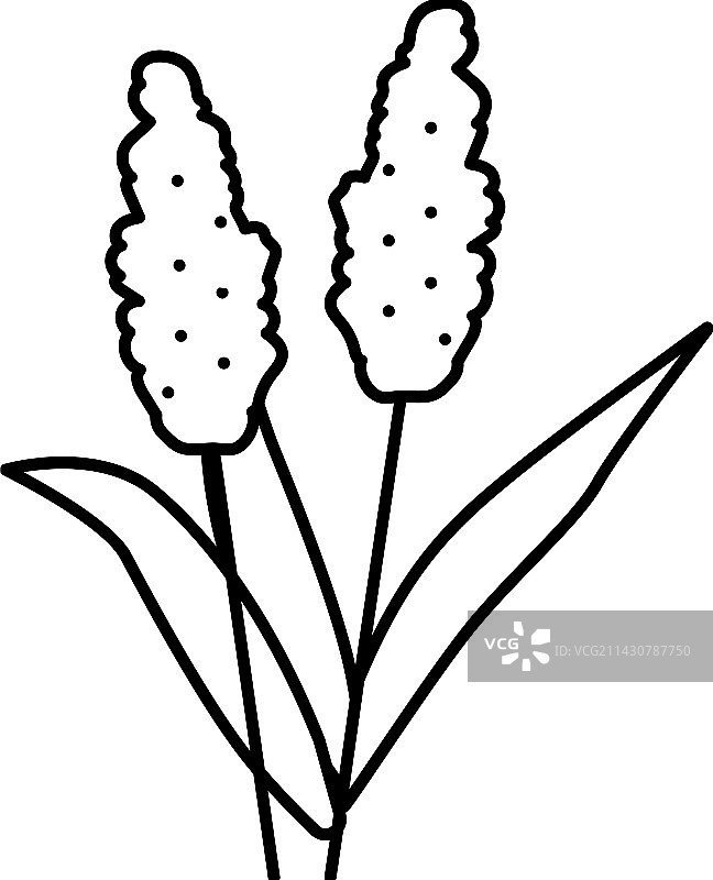 高粱植物食品线性图标图片素材
