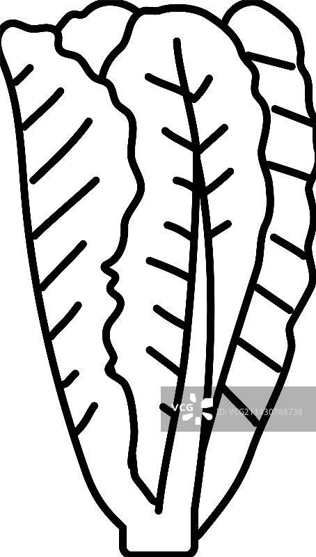 长叶莴苣沙拉食品线性图标图片素材