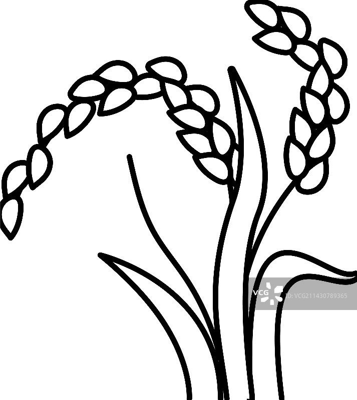 水稻植物食品线性图标图片素材